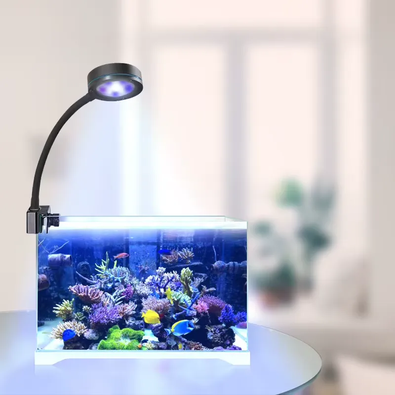 아쿠아산라이즈 풀 스펙트럼 코랄 그로우 화이트 블루 아 - Aquarium Blue Marine Reef 리뷰 및 가격