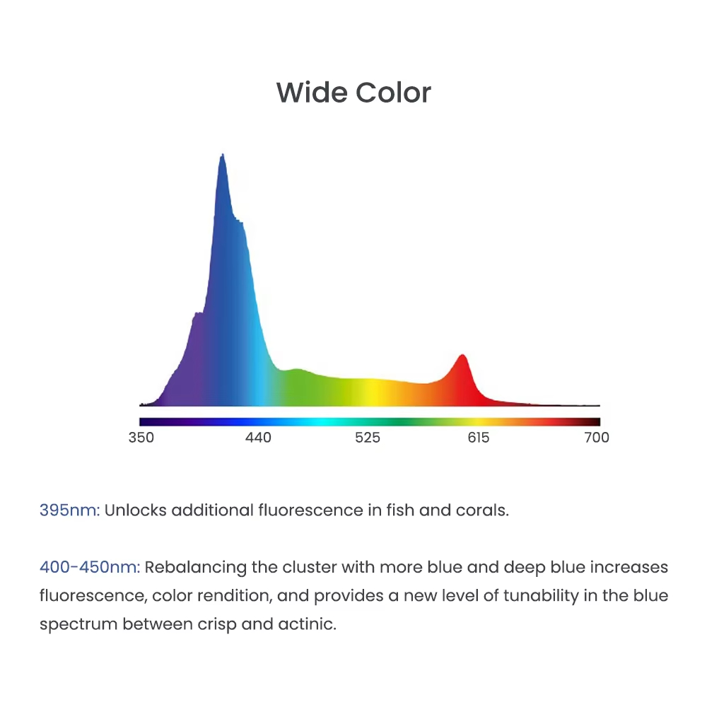 A8SE/A8PRO 2.0 세대 240W 스마트 산호초 - Marine Aquarium App 리뷰 및 가격