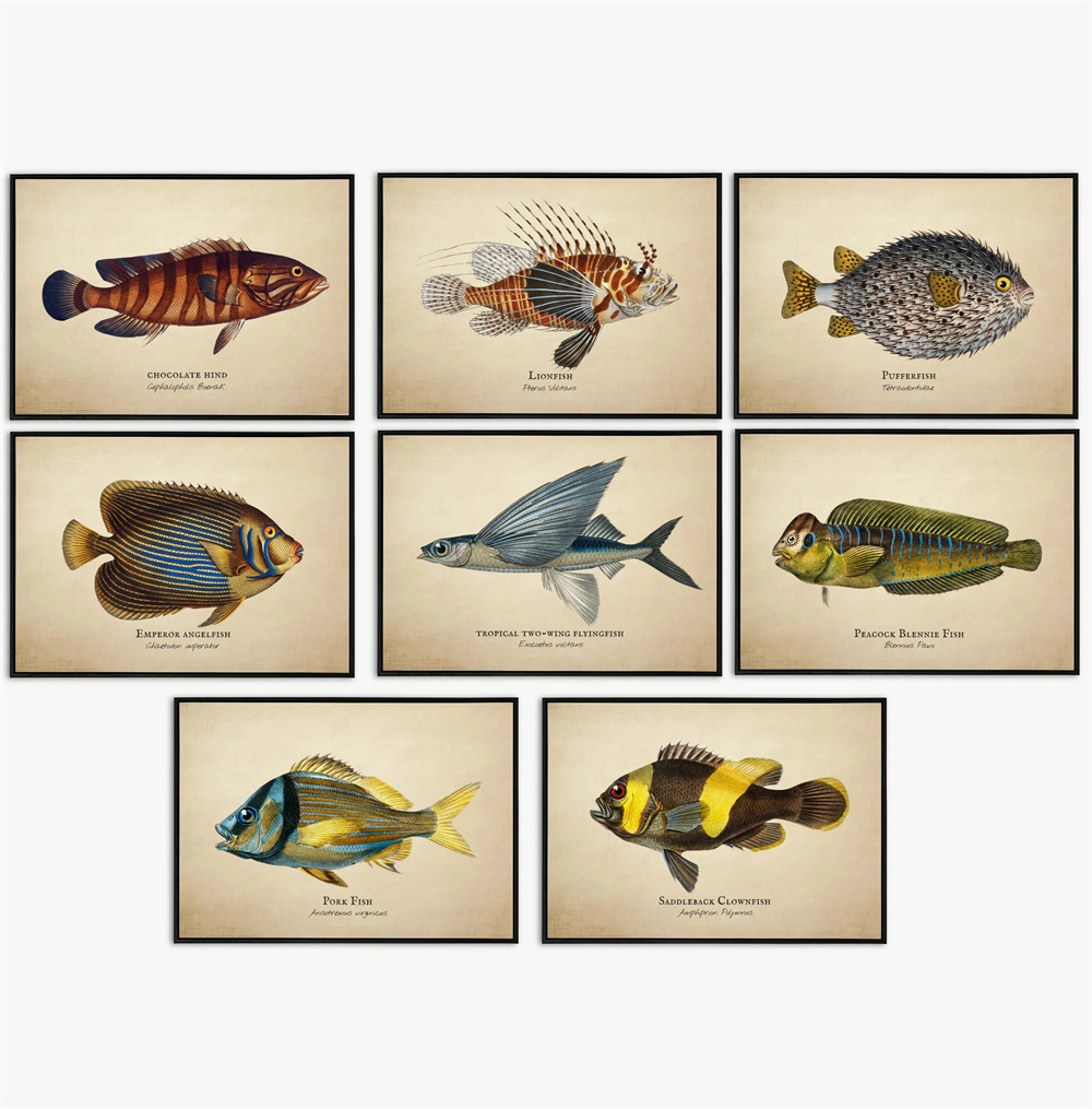 빈티지 사진 열대어 해파리 조개 해양 생물 추상 예술  - Marine Aquarium Home 리뷰 및 가격
