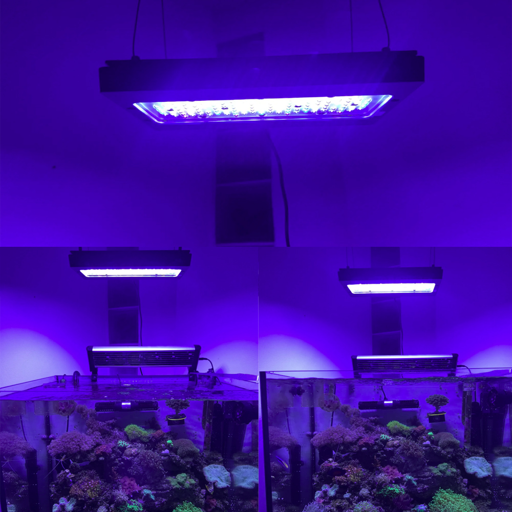 A8se Pro III MAX 블루 240W 해양 리프 - Aquarium Blue Marine Reef 리뷰 및 가격