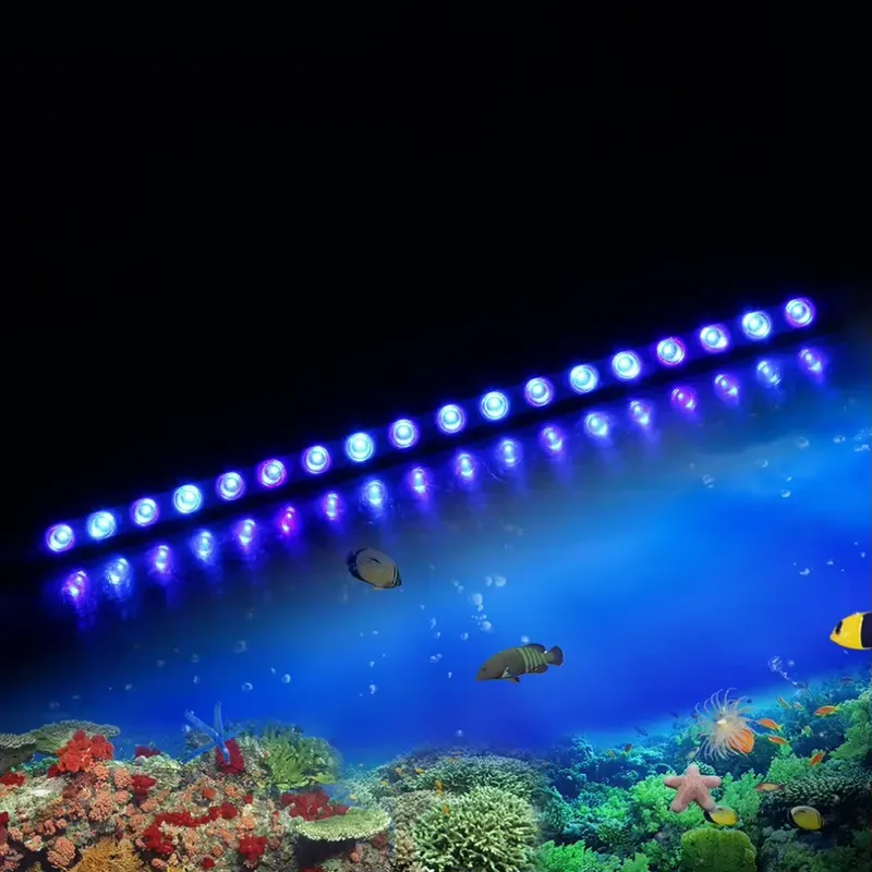 조광 가능 타이밍 LED 수족관 조명 (해양 수족관,  - Marine Aquarium Hours 리뷰 및 가격