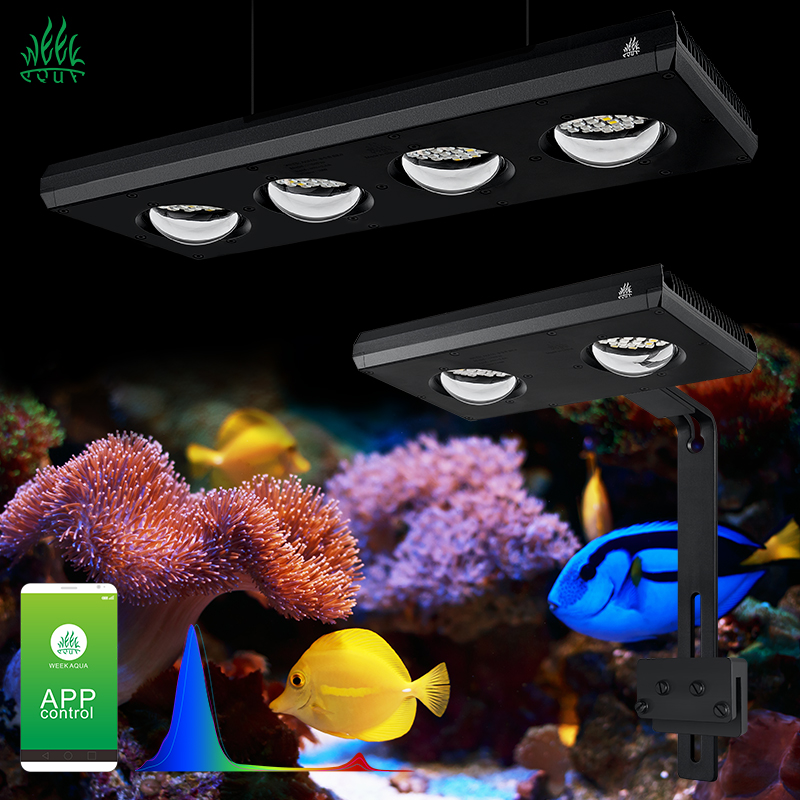 ZXY 핫 세일 WEEKAQUA Z250 Z400sea - Marine Aquarium App 리뷰 및 가격