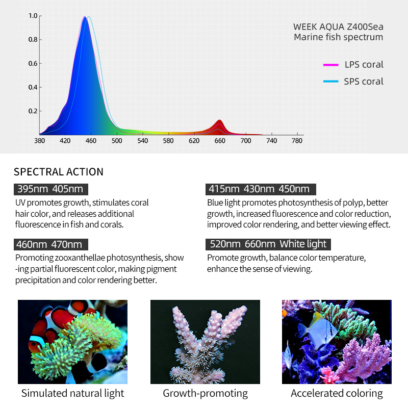 ZXY 핫 세일 WEEKAQUA Z250 Z400sea - Marine Aquarium App 리뷰 및 가격