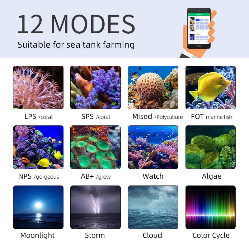 ZXY 핫 세일 WEEKAQUA Z250 Z400sea - Marine Aquarium App 리뷰 및 가격