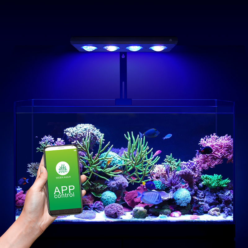 ZXY 핫 세일 WEEKAQUA Z250 Z400sea - Marine Aquarium App 리뷰 및 가격