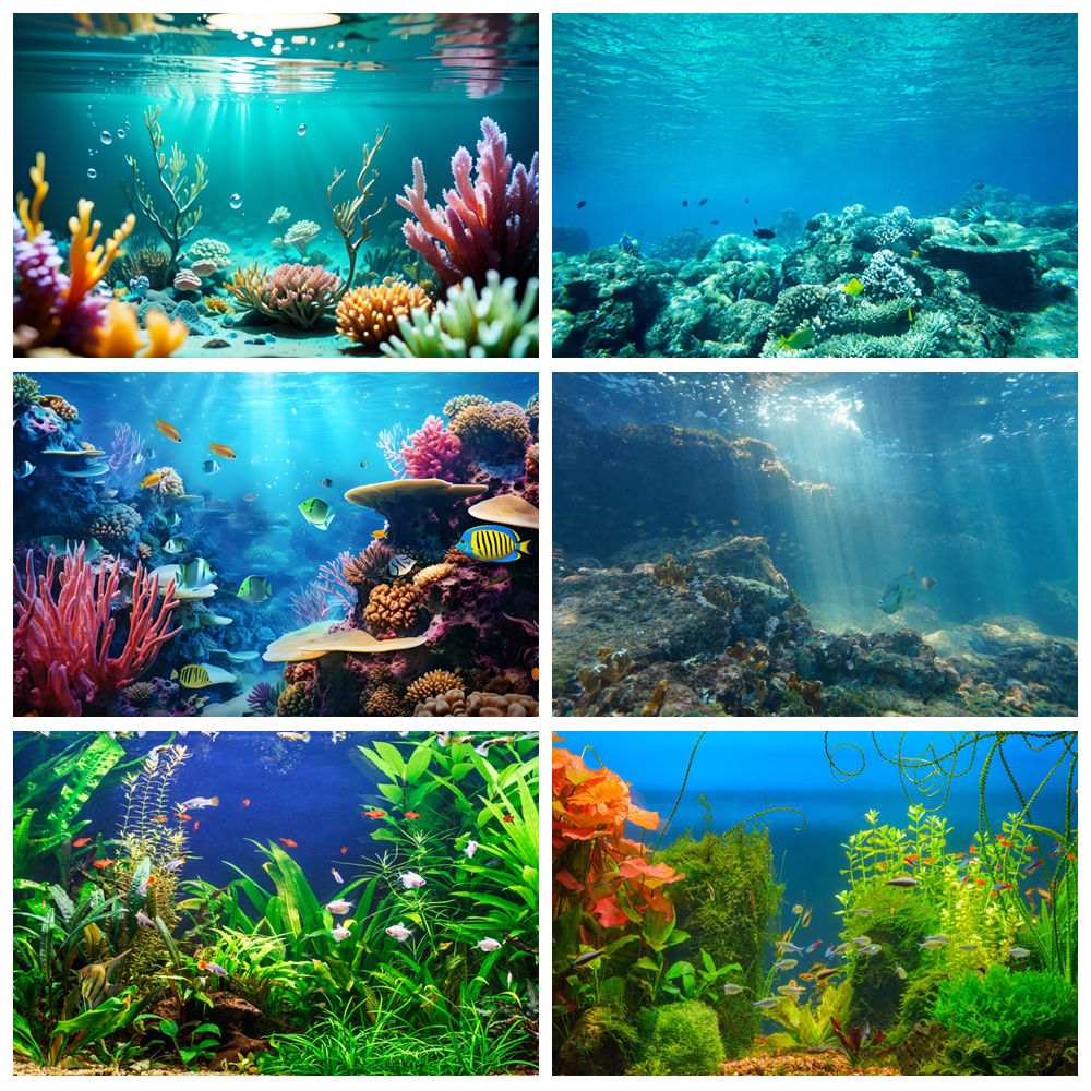 수중 세계 바다 바닥 사진 배경 해저 물고기 해양 산호 - Aquarium Marine World 리뷰 및 가격