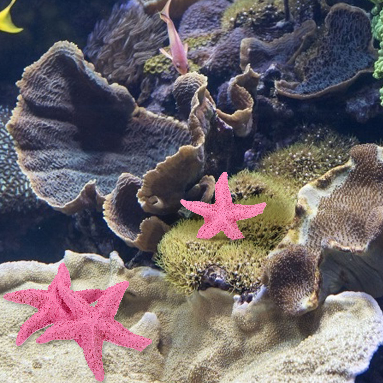 인조 해양 동물 2개 세트, 수족관 장식용 레진 오브제 - Marine Aquarium Home 리뷰 및 가격