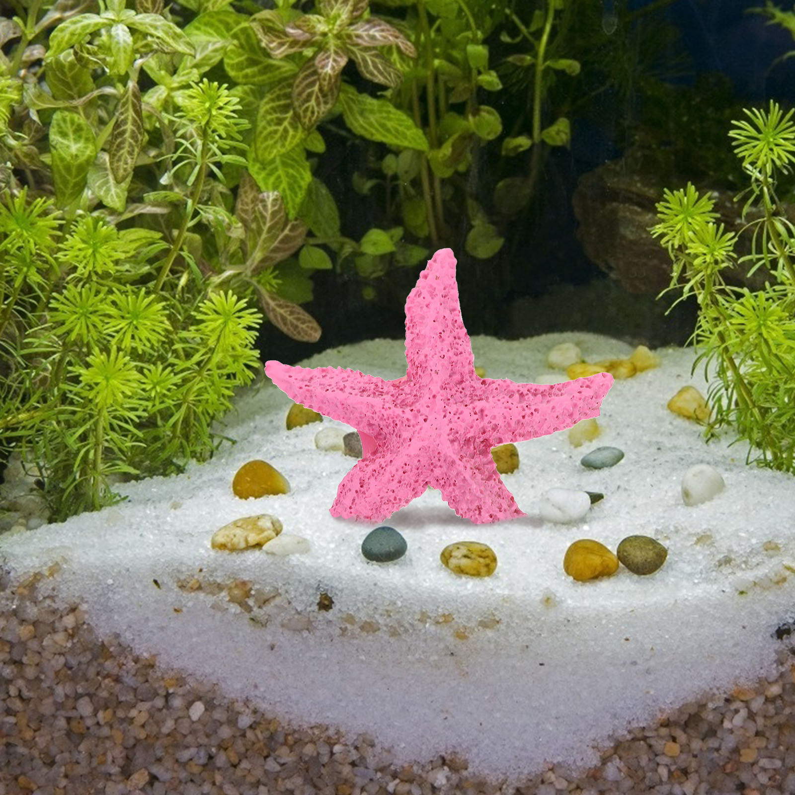 인조 해양 동물 2개 세트, 수족관 장식용 레진 오브제 - Marine Aquarium Home 리뷰 및 가격
