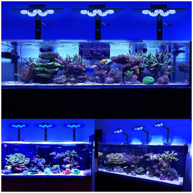 고휘도 해양 LED 어항 조명 풀 스펙트럼 LED 수족 - Marine Aquarium App 리뷰 및 가격