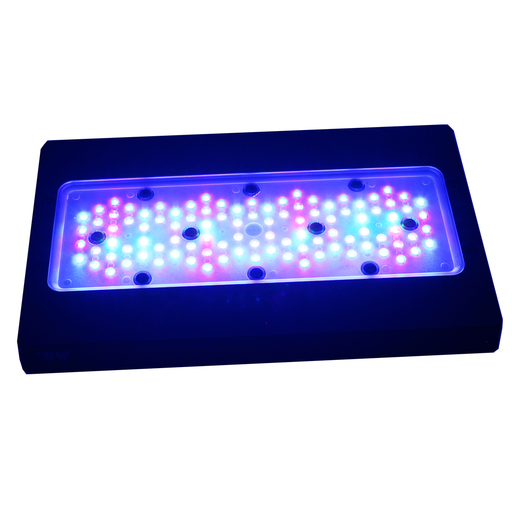 도매 A8 스마트 WiFi 앱 프로그래머블 240W 풀 - Marine Aquarium App 리뷰 및 가격