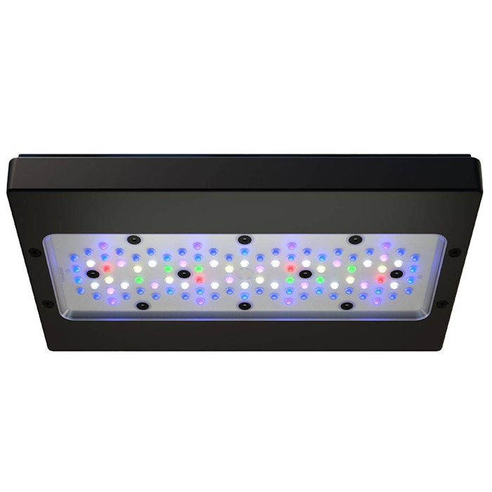A8 PRO III Max 및 블루 245W 풀 스펙트 - Marine Aquarium App 리뷰 및 가격