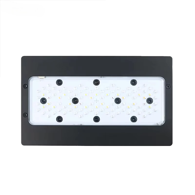 A8Pro Max/블루 240W CREE LED 리프  - Aquarium Blue Marine Reef 리뷰 및 가격