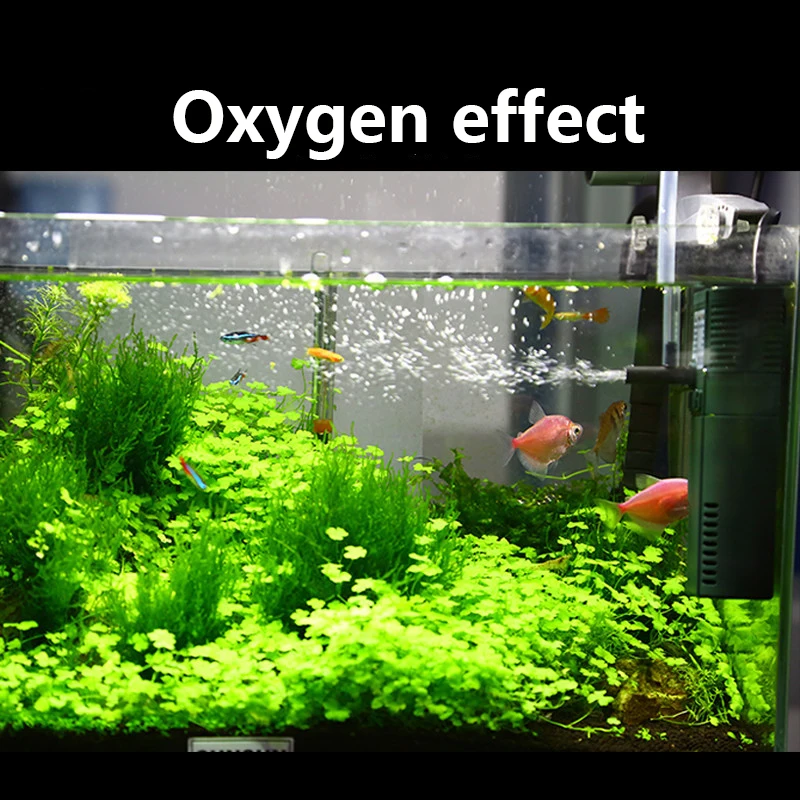SUNSUN 미니 나노 수중 산소 펌프, 물고기 거북이 - Marine Aquarium Hardscape 리뷰 및 가격